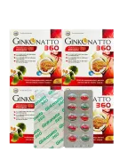 Ginkgo Natto 360 Coenzym Q10